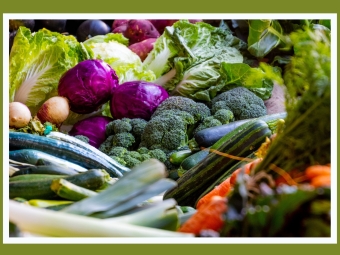 Photo of assorted vegetables 